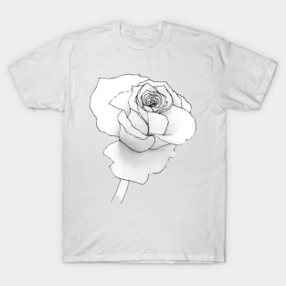 A Rose is a Rose T-Shirt